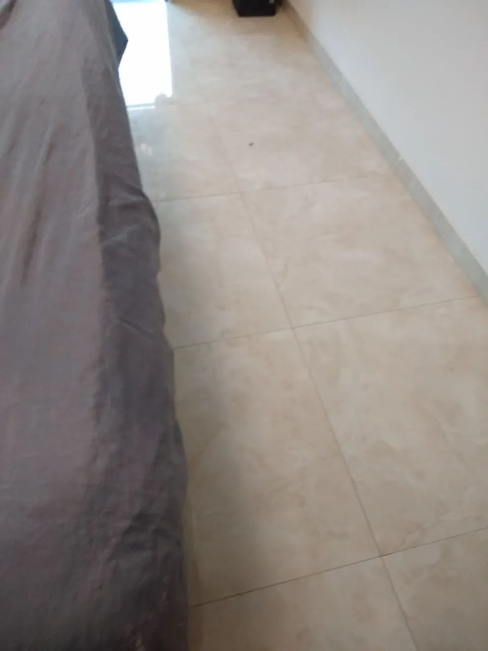 Diarsta - Foto 2