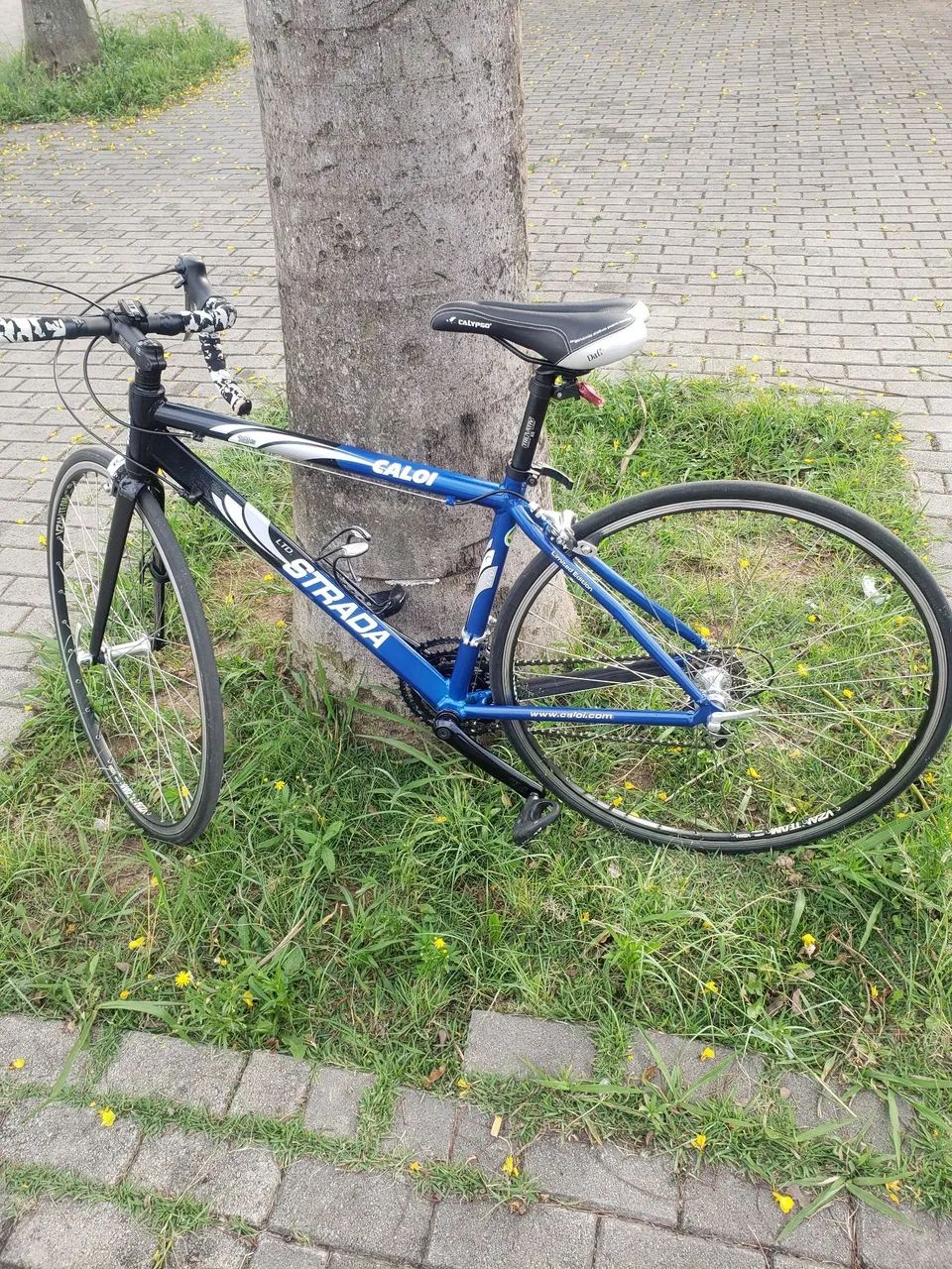 Bicicleta caloi strada 