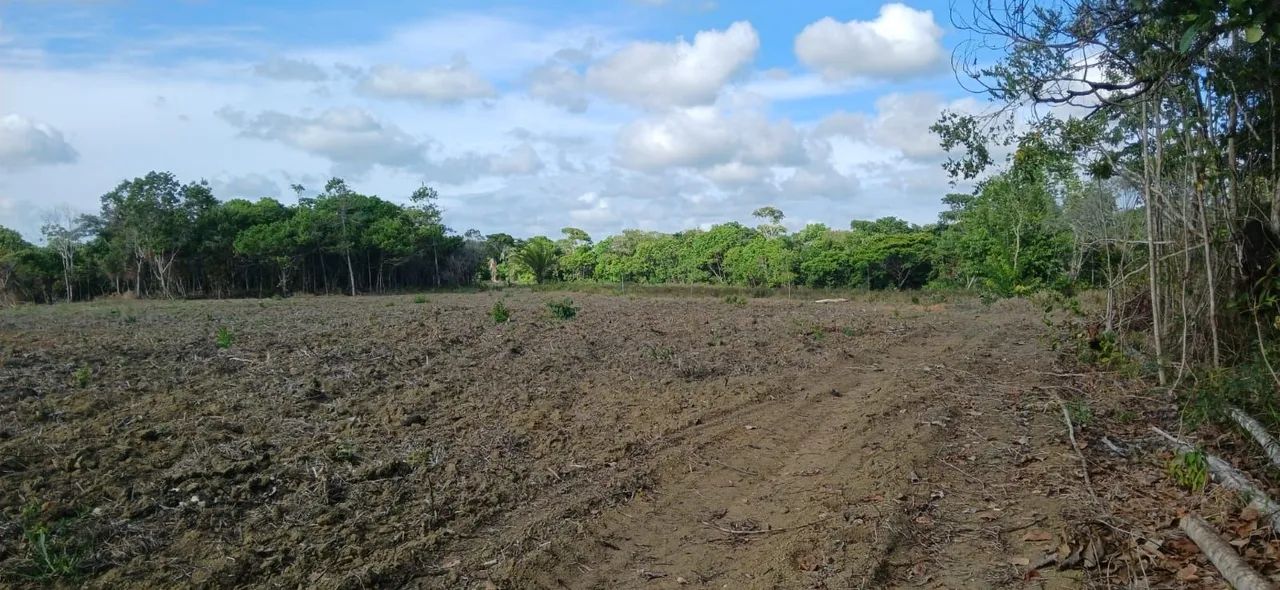 Vendo sitio em maragogi - Foto 2