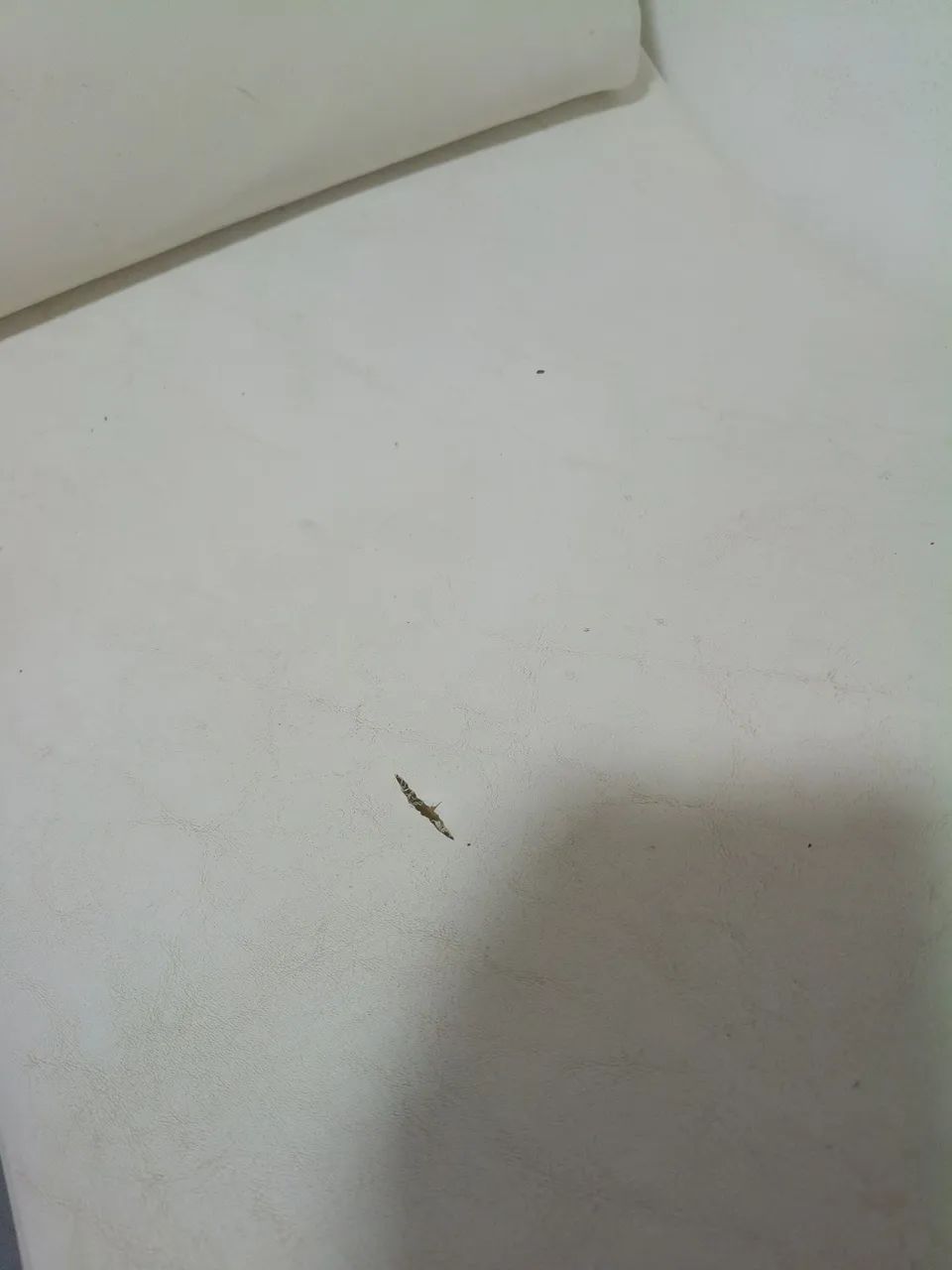 Vendo Maca Poltrona Tantra Luxo Cavalinho - Foto 3