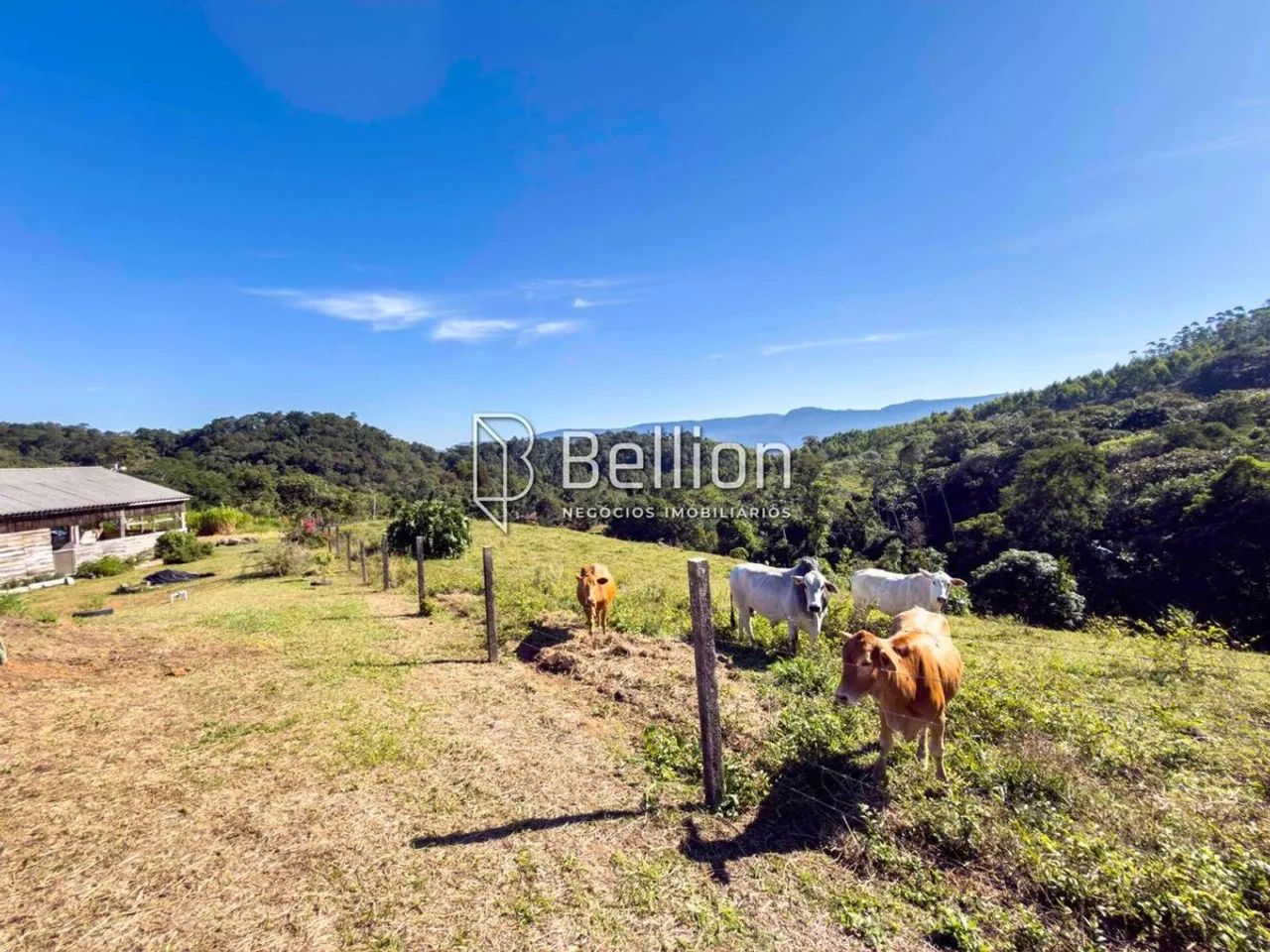 Sítio em Rodeio  Espaço, Privacidade e Contato com a Natureza! - Foto 3