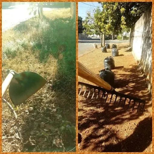 SERVIÇO DE JARDINAGEM  - Foto 3