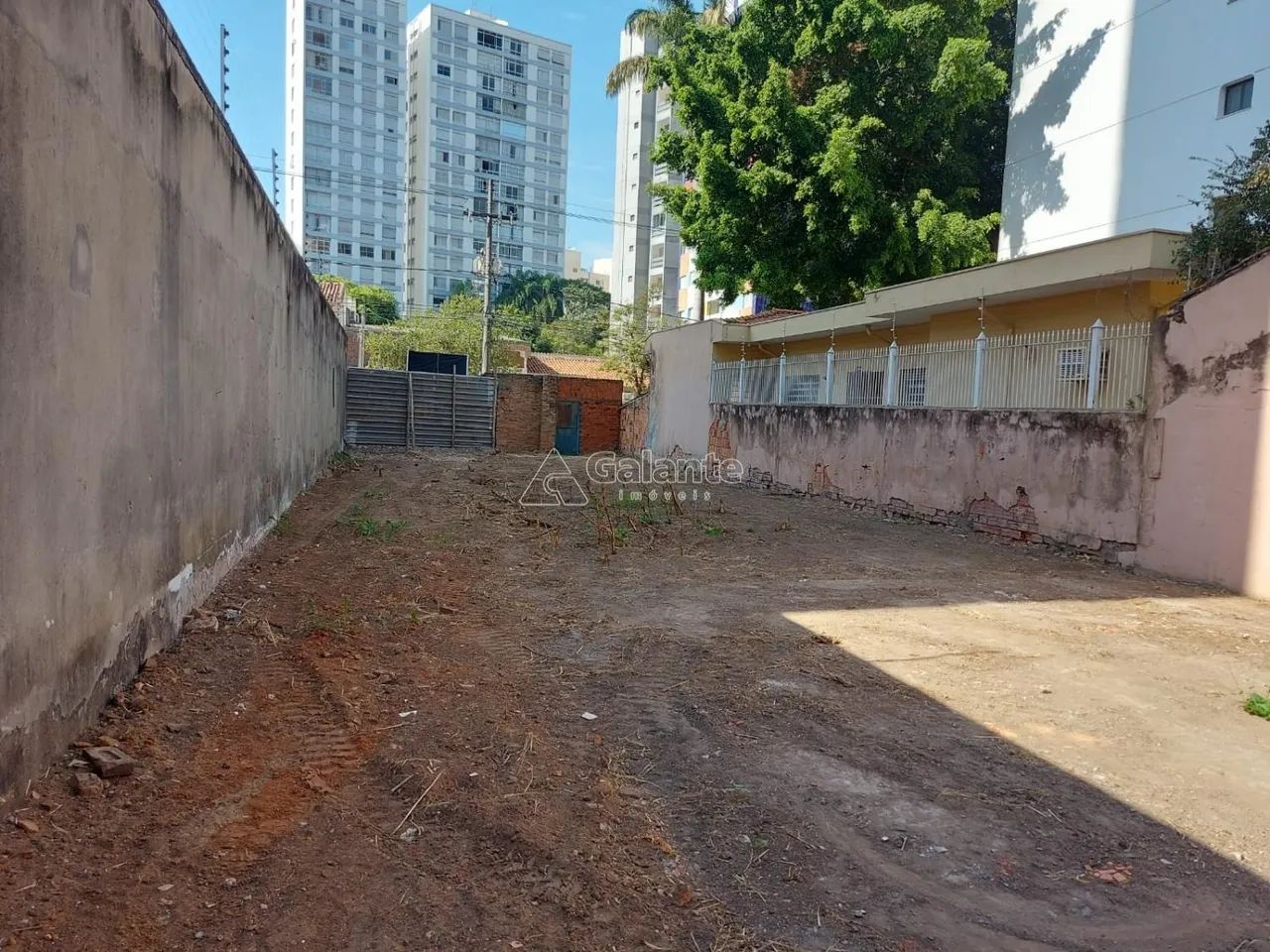 terreno - Vila Itapura - Campinas - Foto 4