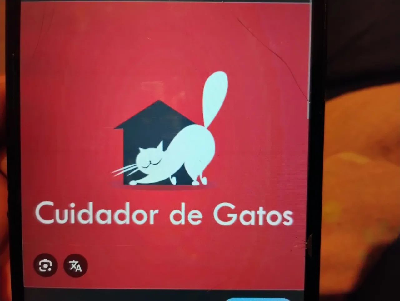 Cuidadora de cães e gatos 
