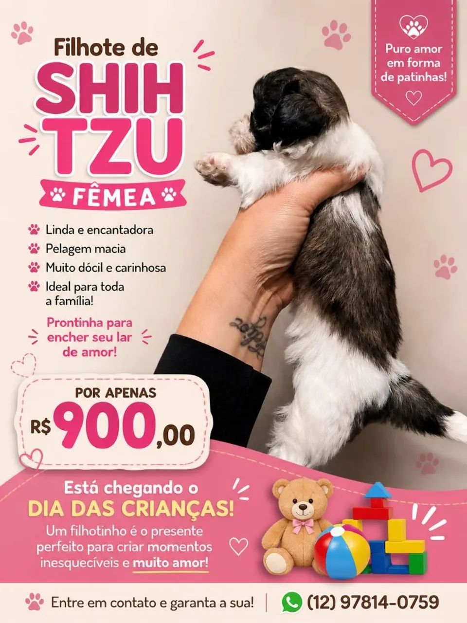 Shituz  - Foto 2