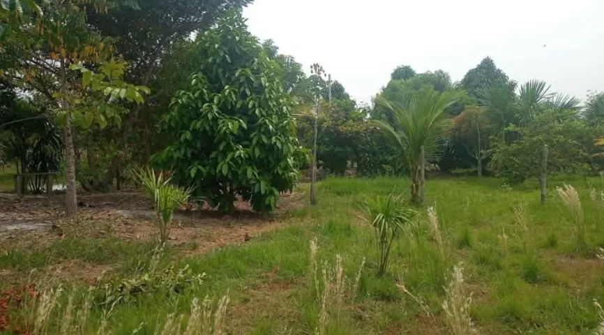 Sítio para piscicultura  - Foto 2