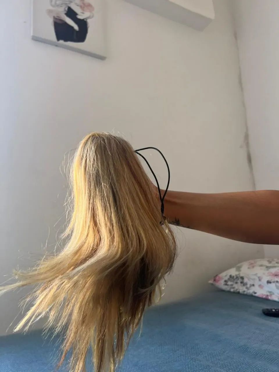 Rabo de cavalo loiro 