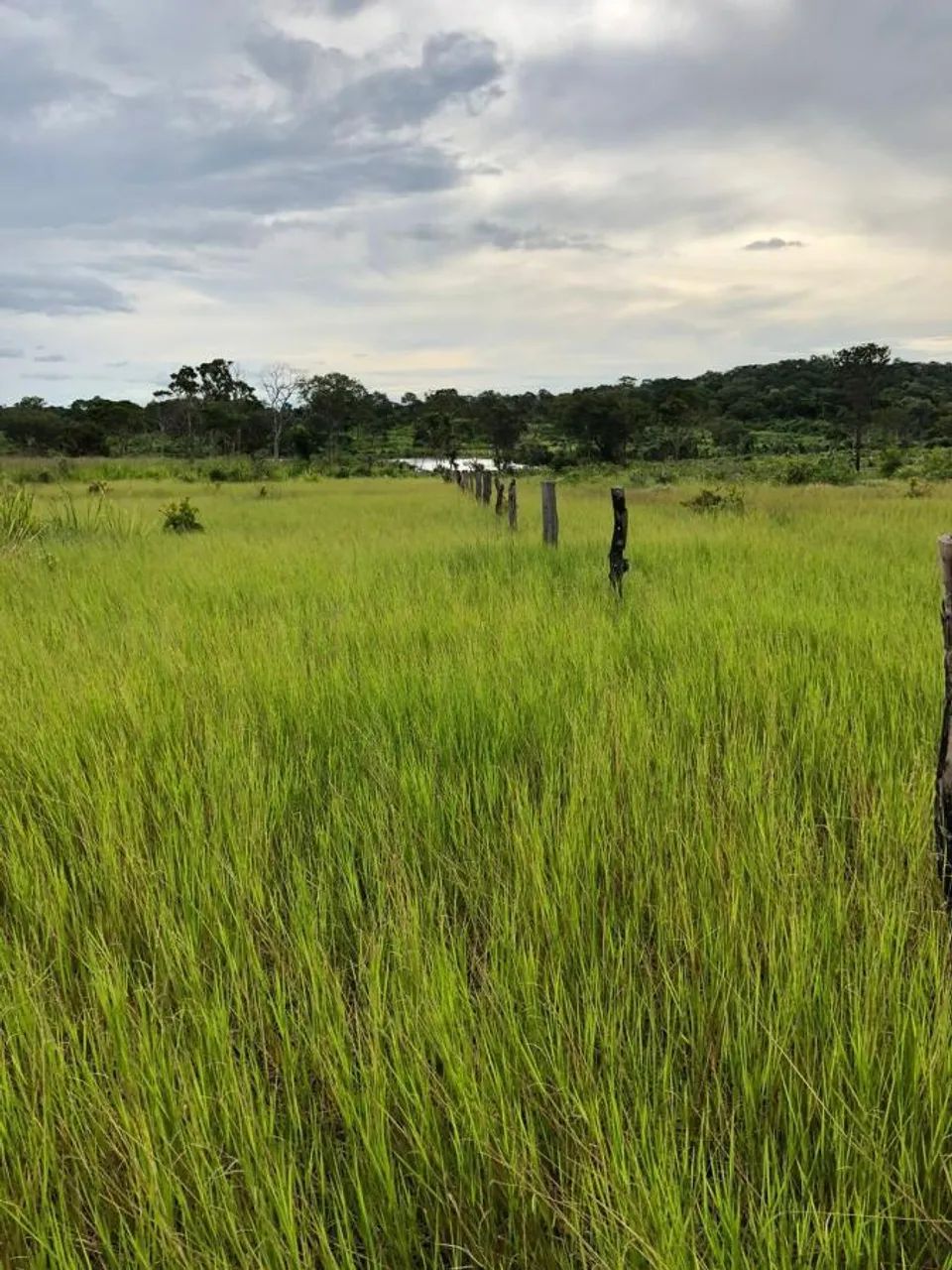 Fazenda para Venda em Miracema do Tocantins, 5 dormitórios - Foto 2