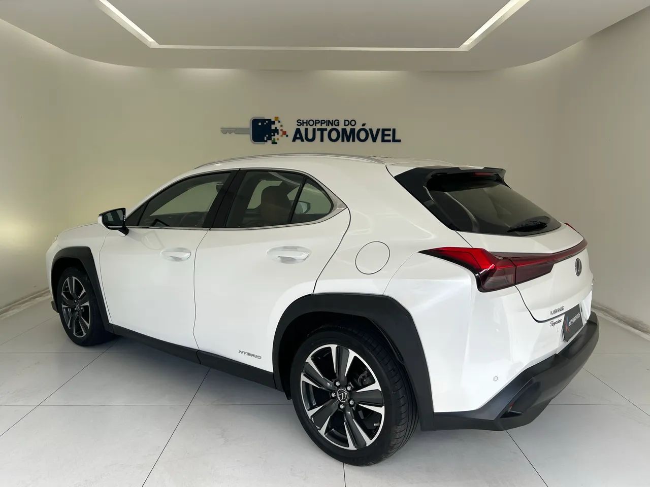 Lexus UX-250h Luxury 2.0 16V Aut.(hybrid), foto 3 de 15