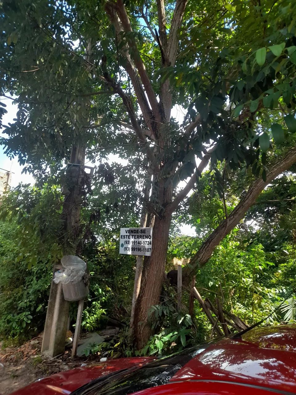 Terreno na Área verde  - Foto 3