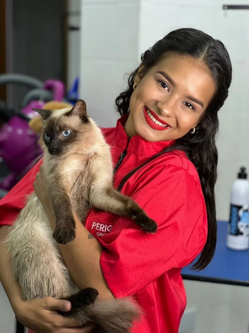 CURSO DE BANHO E TOSA - Foto 4