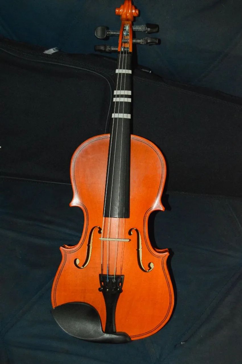 Violino 4/4 - Foto 2