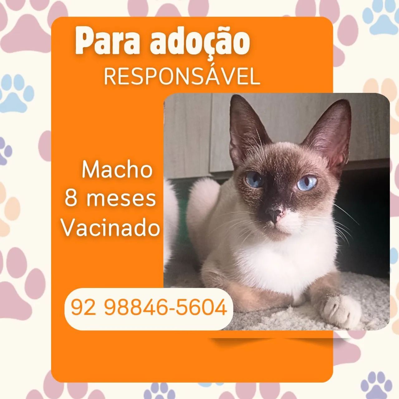 Adoção Responsável 