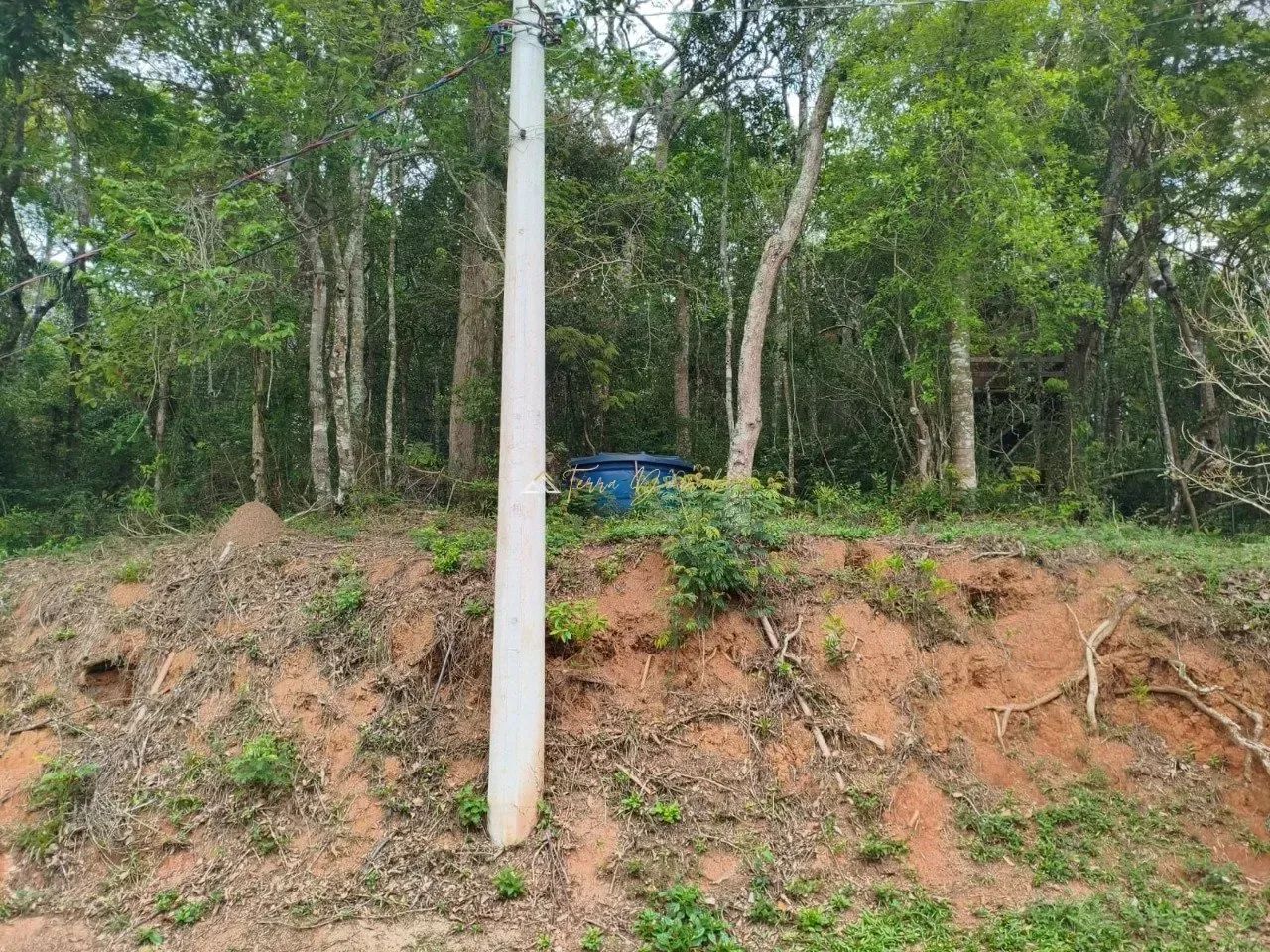 Lote à Venda no Bairro Barreirinho - Santo Antônio do Pinhal SP - Foto 2
