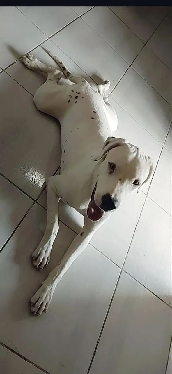 Doação 