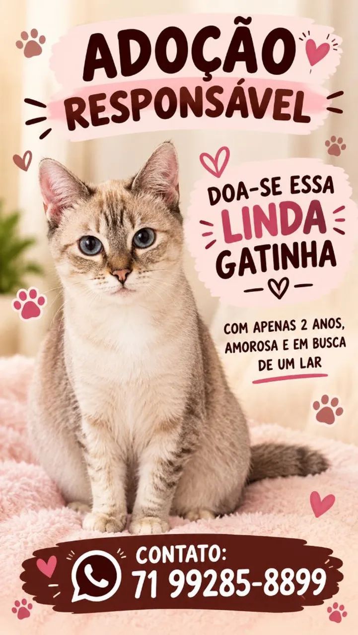 Gato 