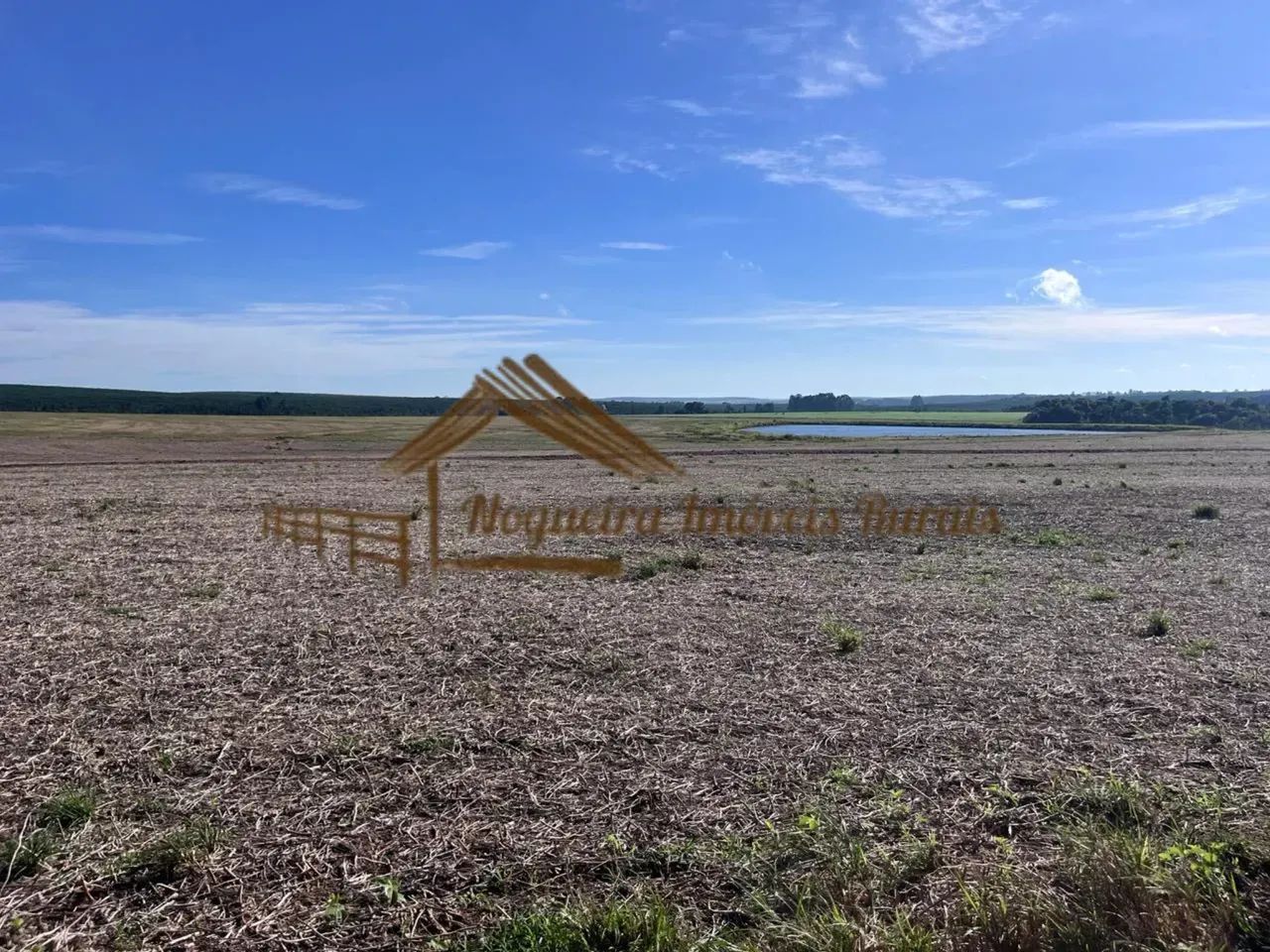 Fazenda com 240 alqueires em Avaré/SP - Foto 5