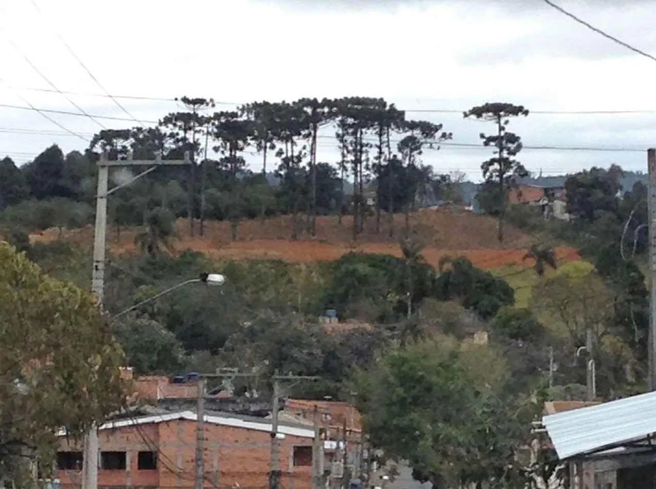 Terreno à venda no Jardim Sandra - Cotia - Foto 3