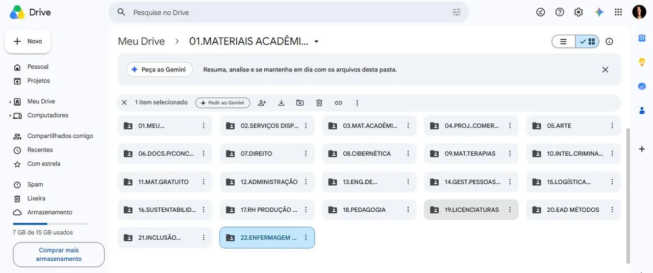 Mentoria Acadêmica 
