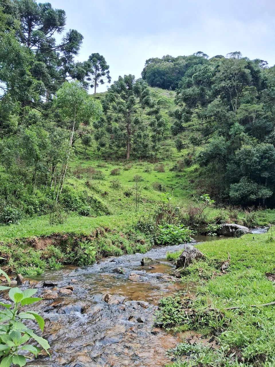 Terreno 3 hectares com riacho em Anitápolis-SC 