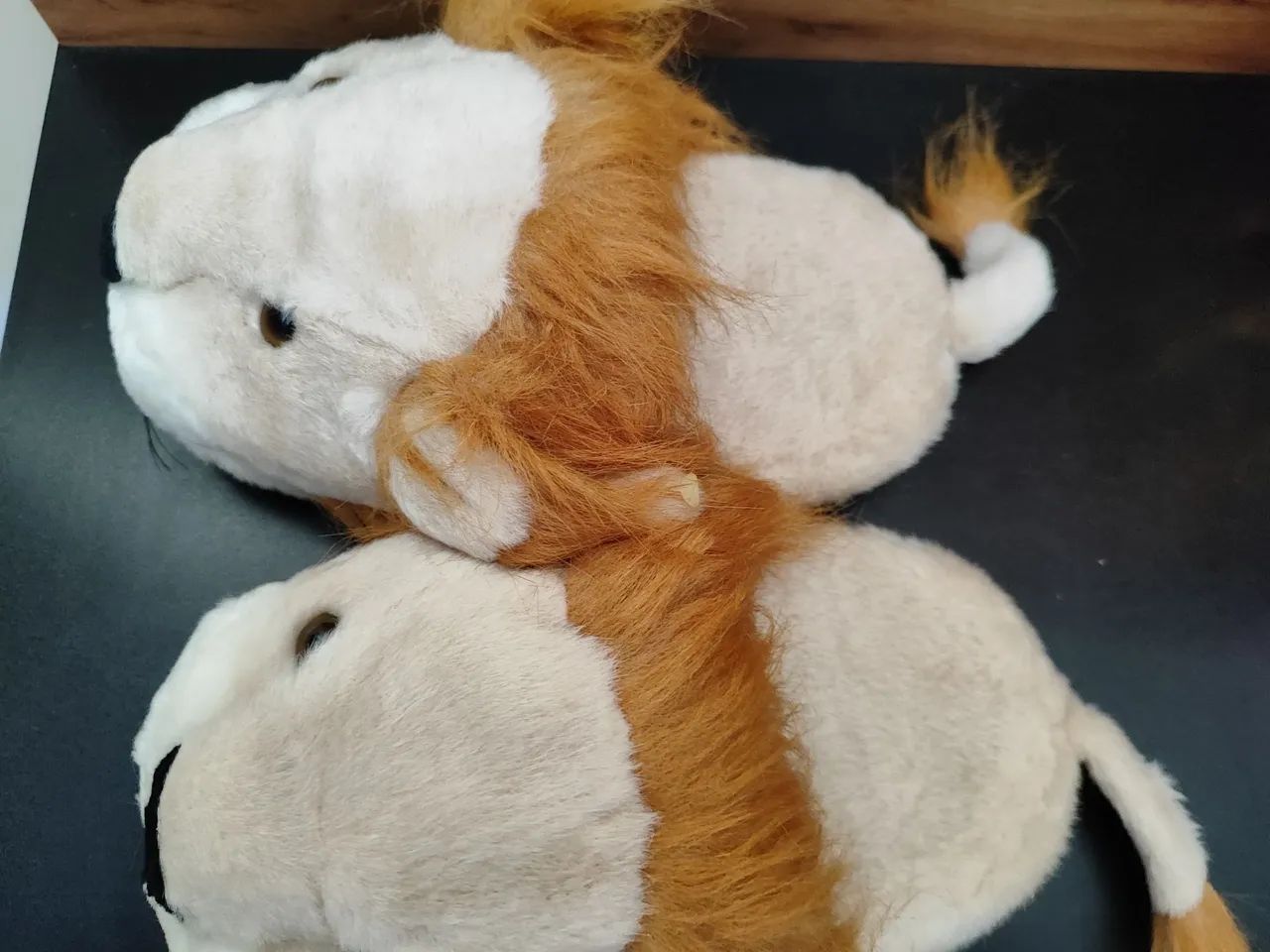Pantufa leão. - Foto 4