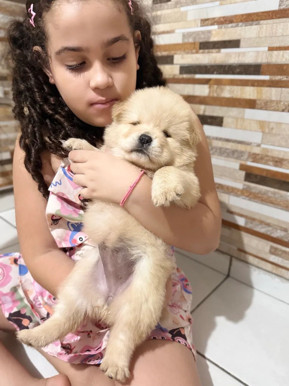 Chow chow branco  - Foto 5