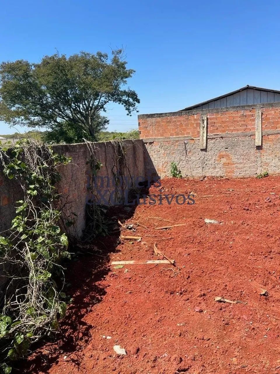 Terreno 560 m2 no Boqueirão ! - Foto 3