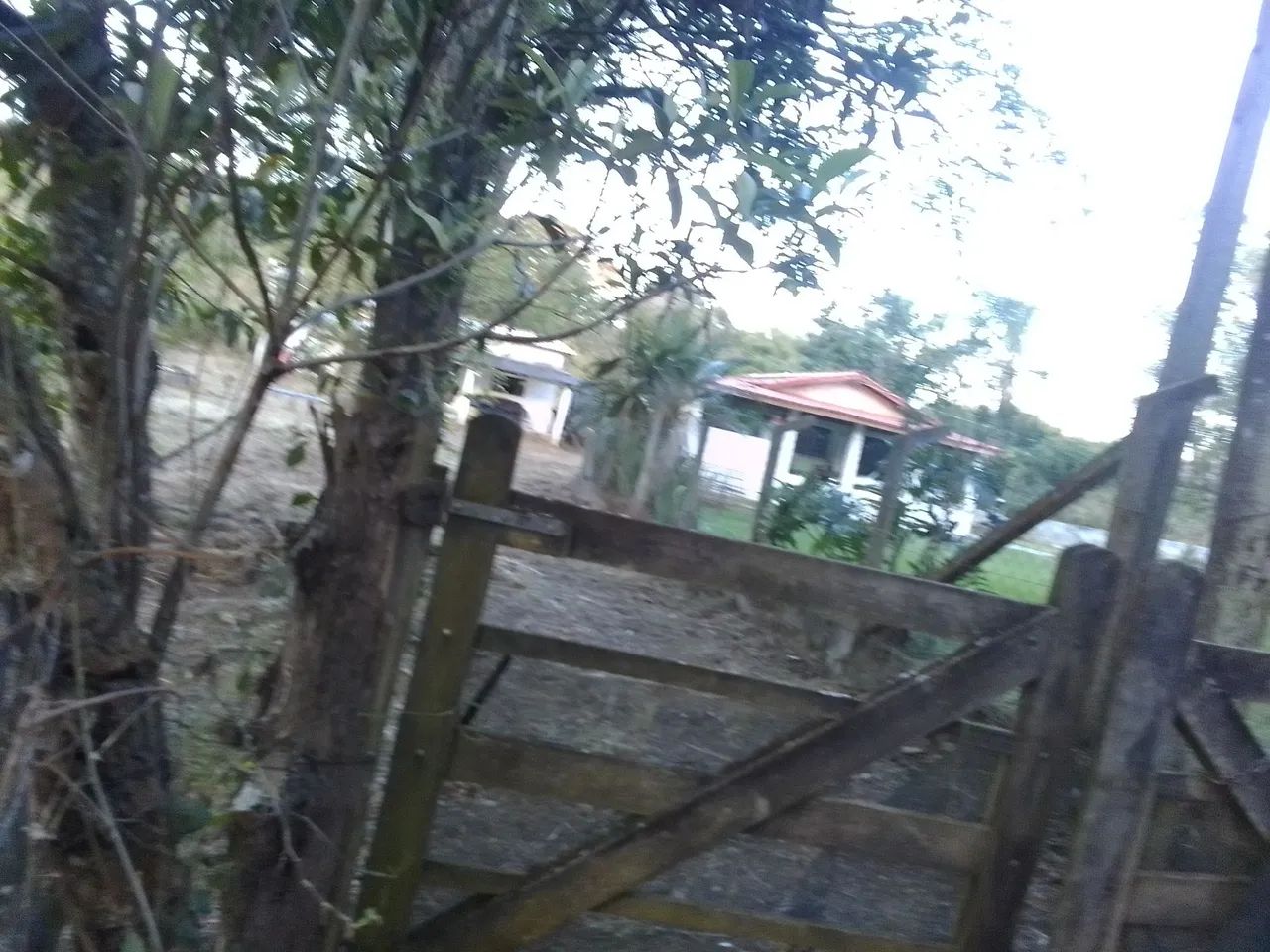 Chácara em Socorro  - Foto 2