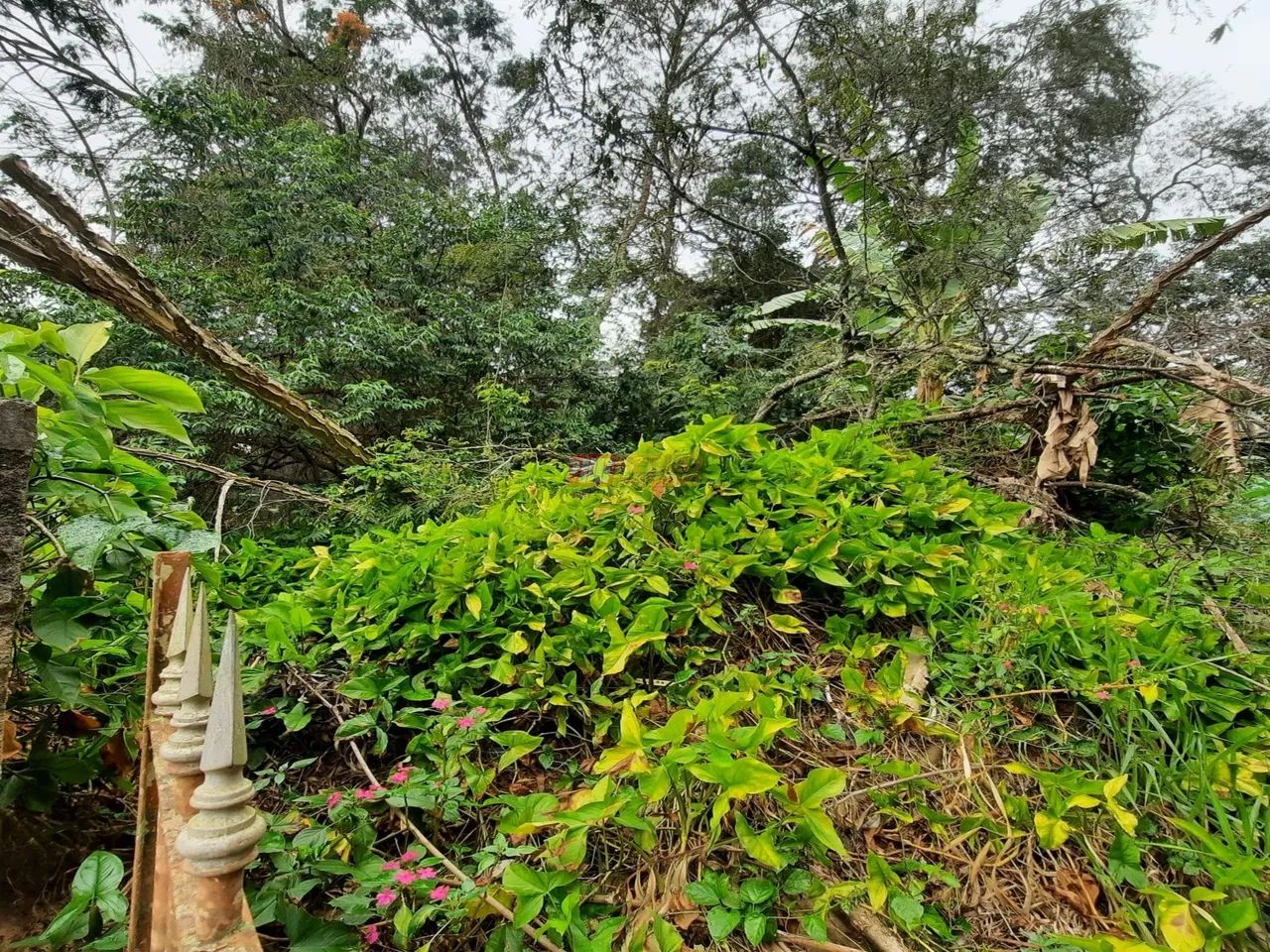 Terreno no Bairro Eldorado em São Paulo - Foto 4