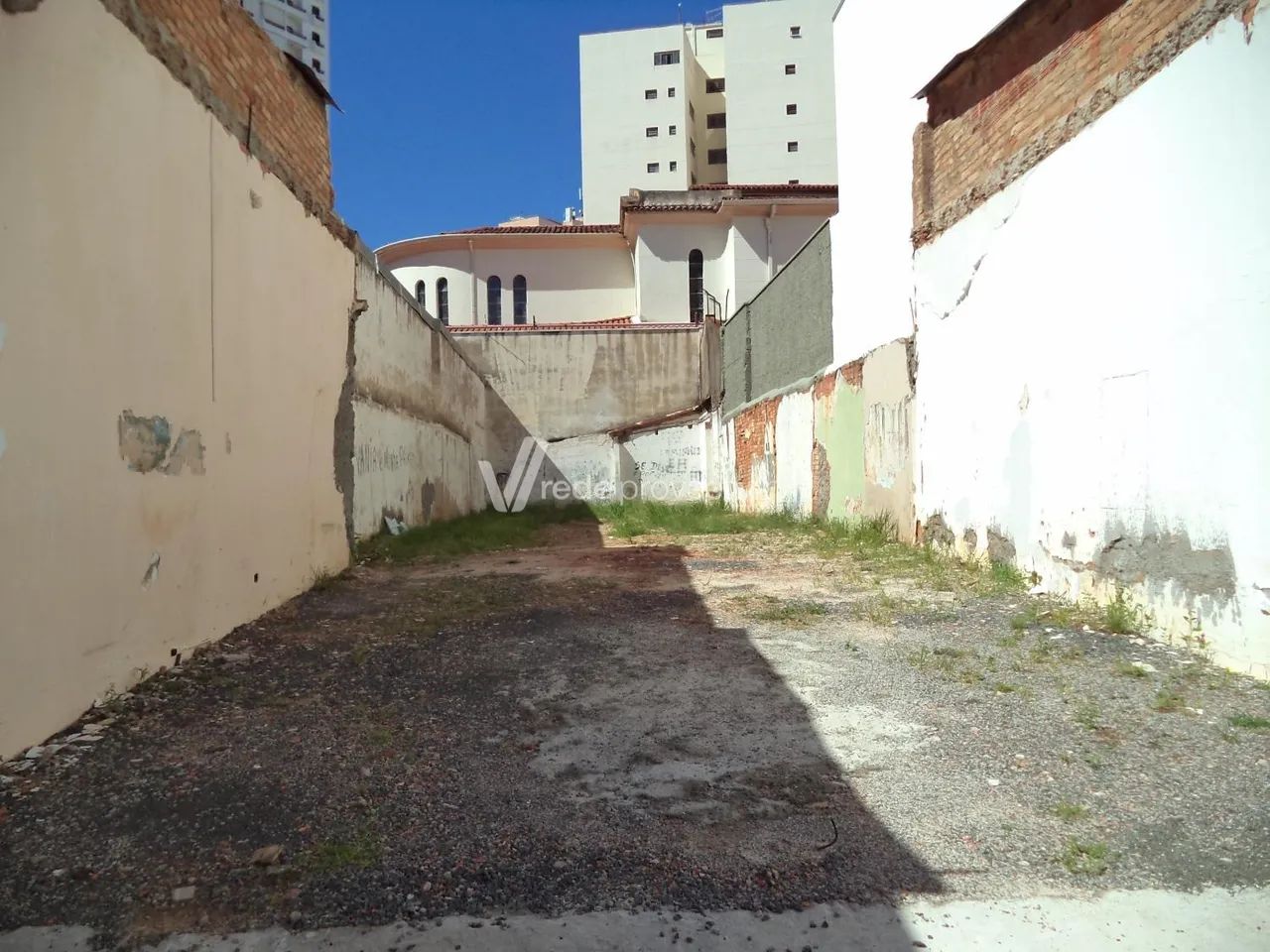 terreno - Cambuí - Campinas - Foto 5