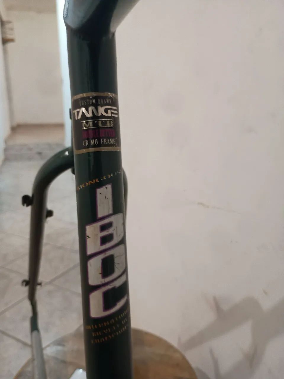 Quadro mongoose iboc - Foto 2