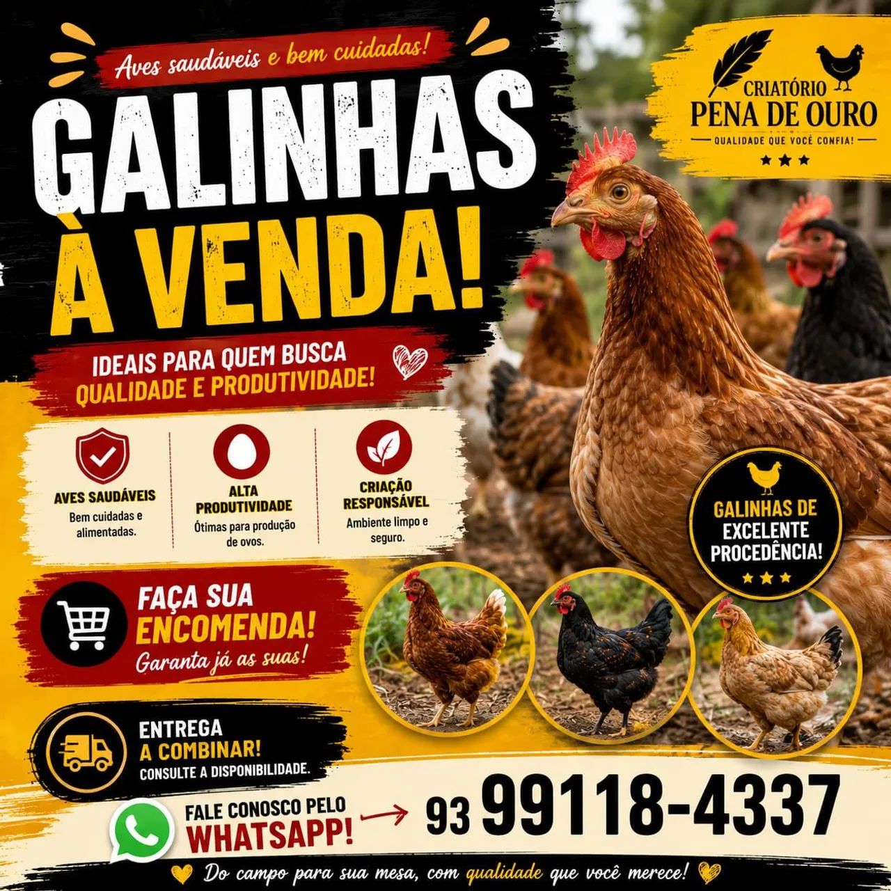 Patos e galinha