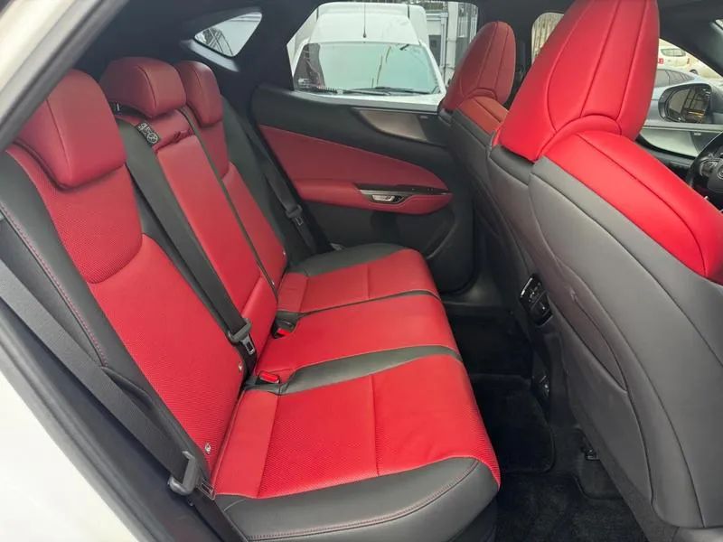 Lexus NX-350h F-sport 2.5 16V Aut. (hybrid), foto 19 de 20