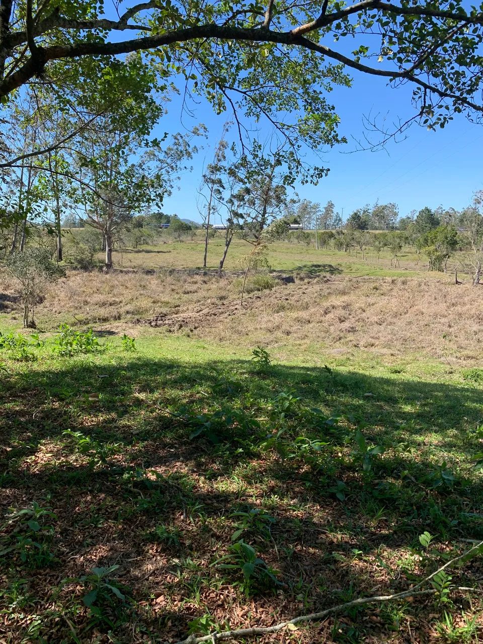 Vendo área 6240 m2 ideal casa sítio área alta  - Foto 2