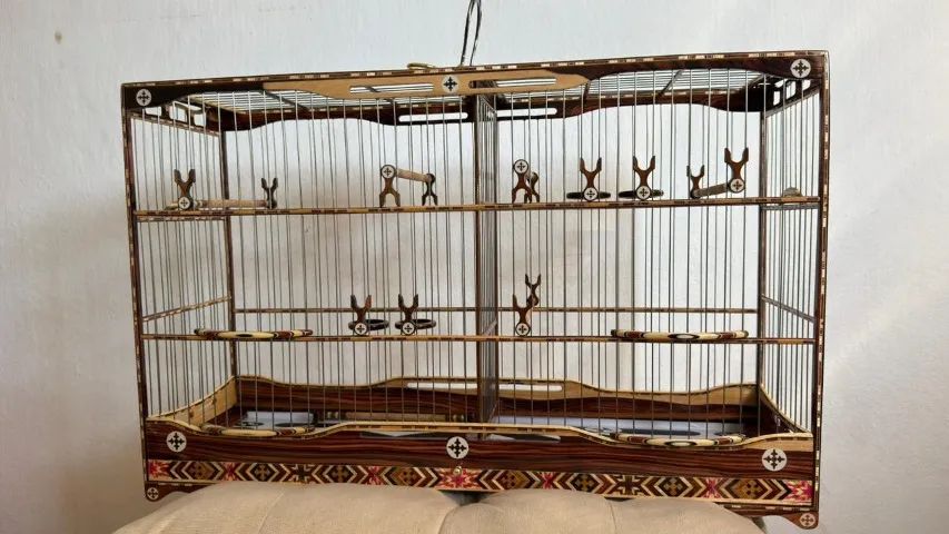 Voador coleiro SUPER LUXO - Foto 6