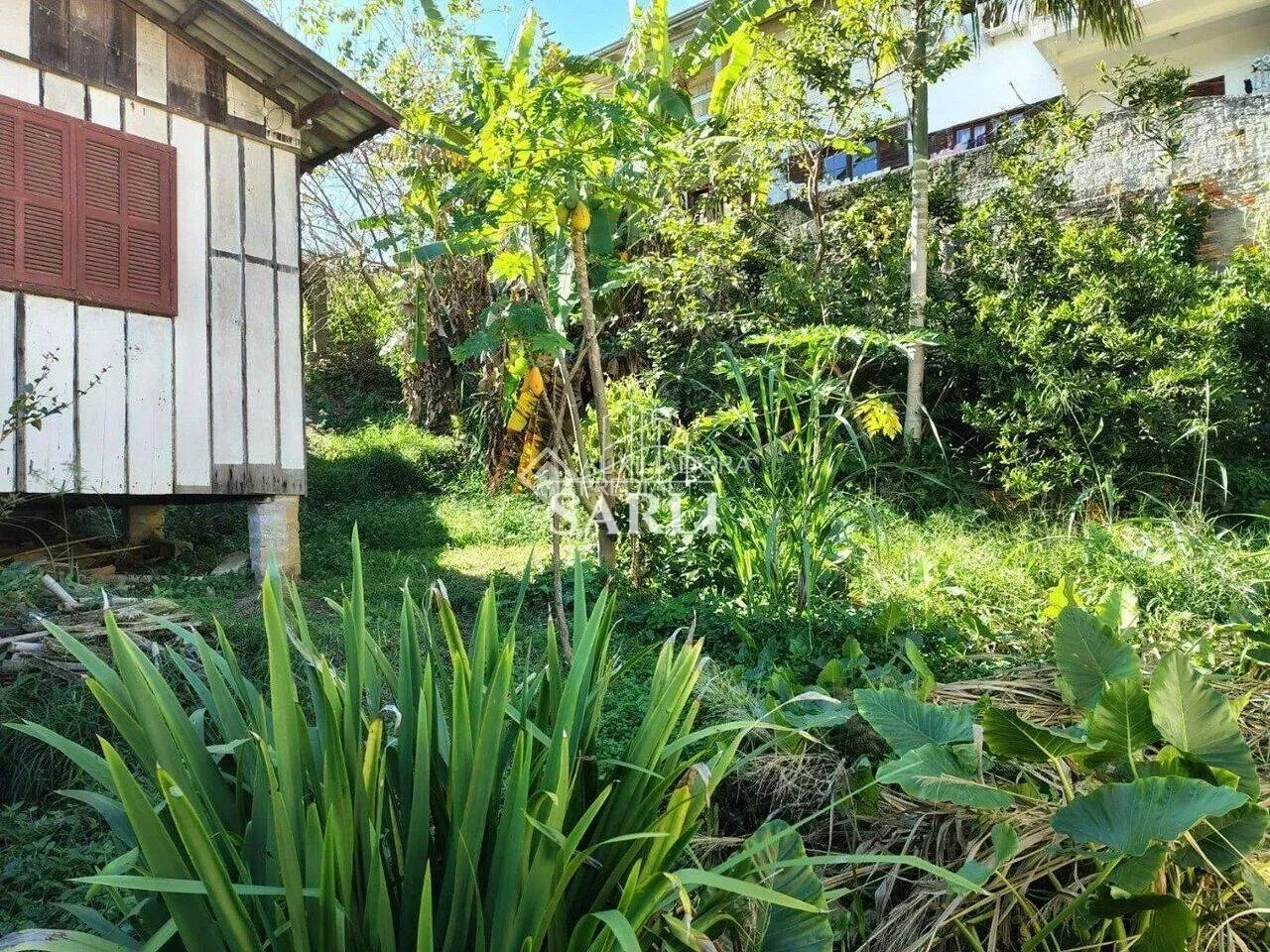 Terreno amplo, de 600 m² Córrego Grande - Florianópolis - Foto 4