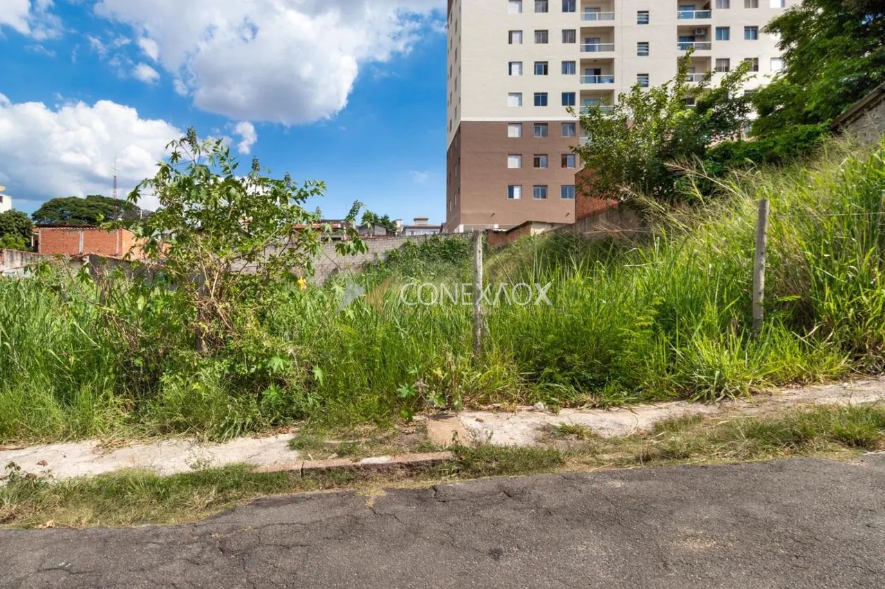 terreno - Vila João Jorge - Campinas - Foto 2
