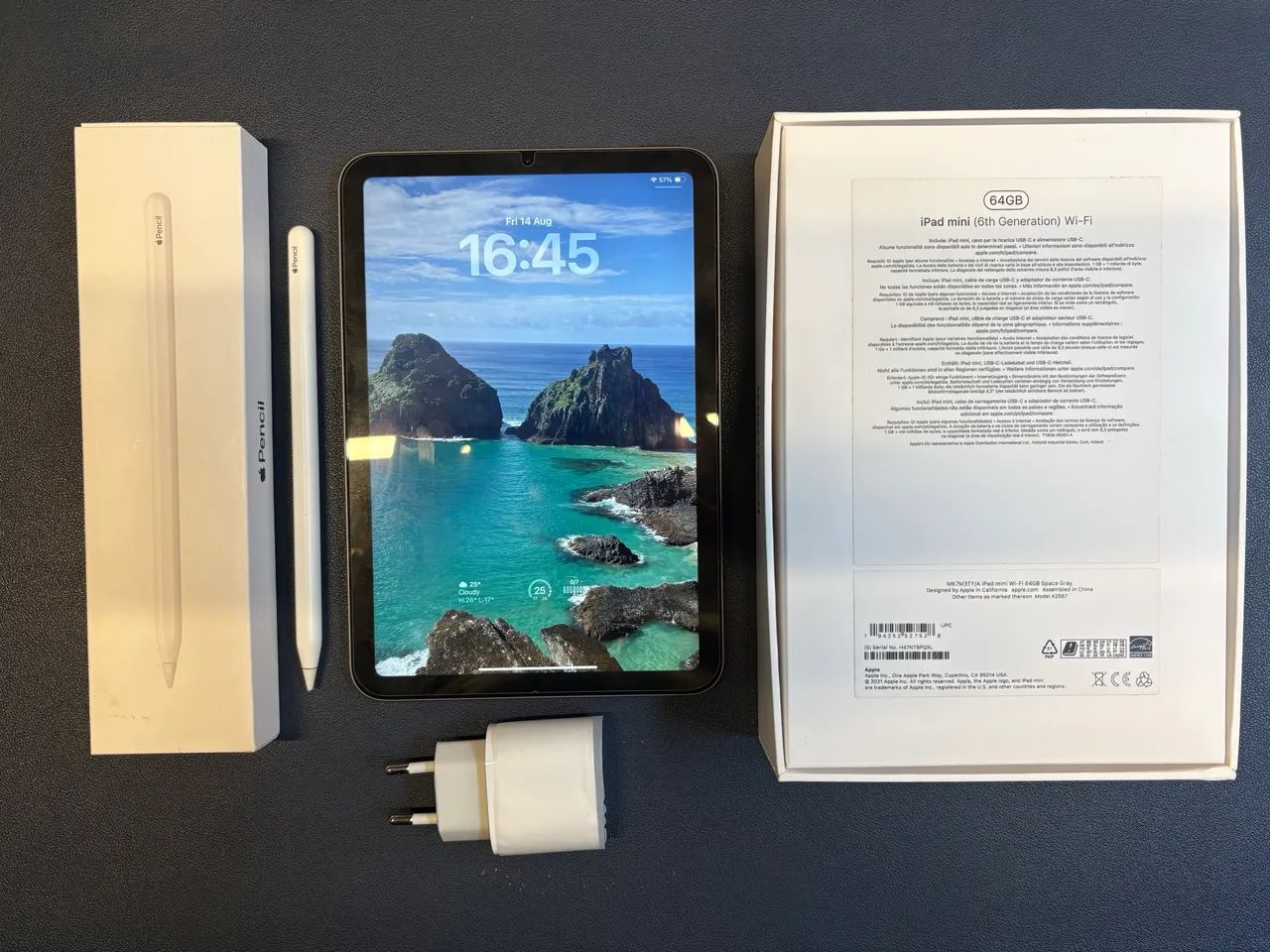 iPad Mini 6 + Apple Pencil