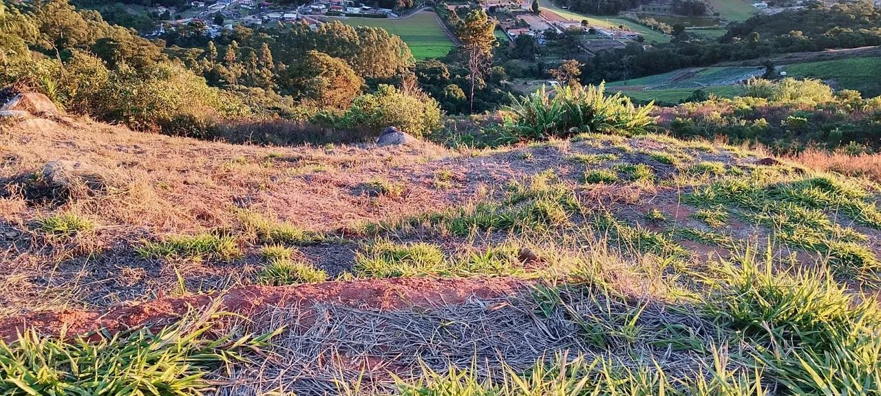 Terreno de 2 mil metros com linda vista - Foto 4