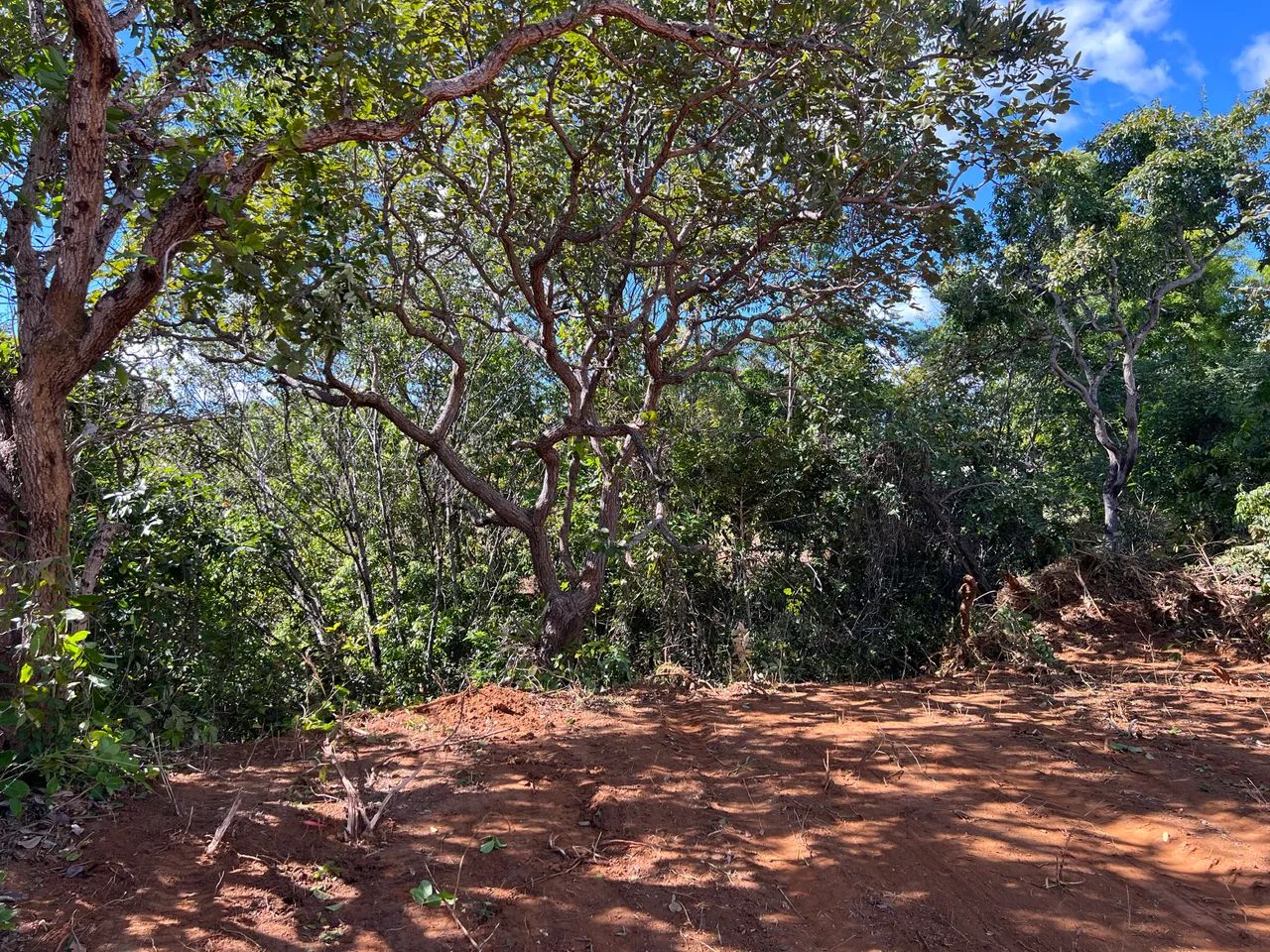 Terreno de 1.100M2 ideal para seu sítio 70 km de BH - Foto 4