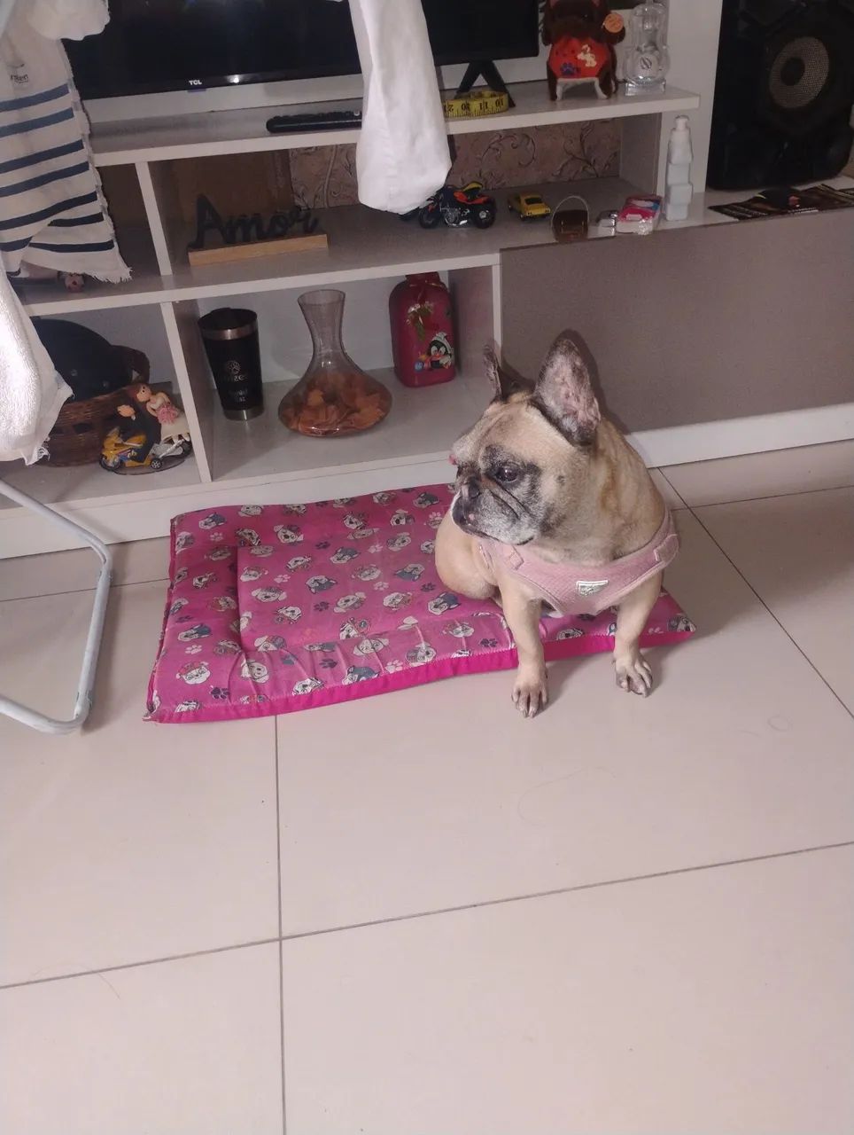 Doação  - Foto 2