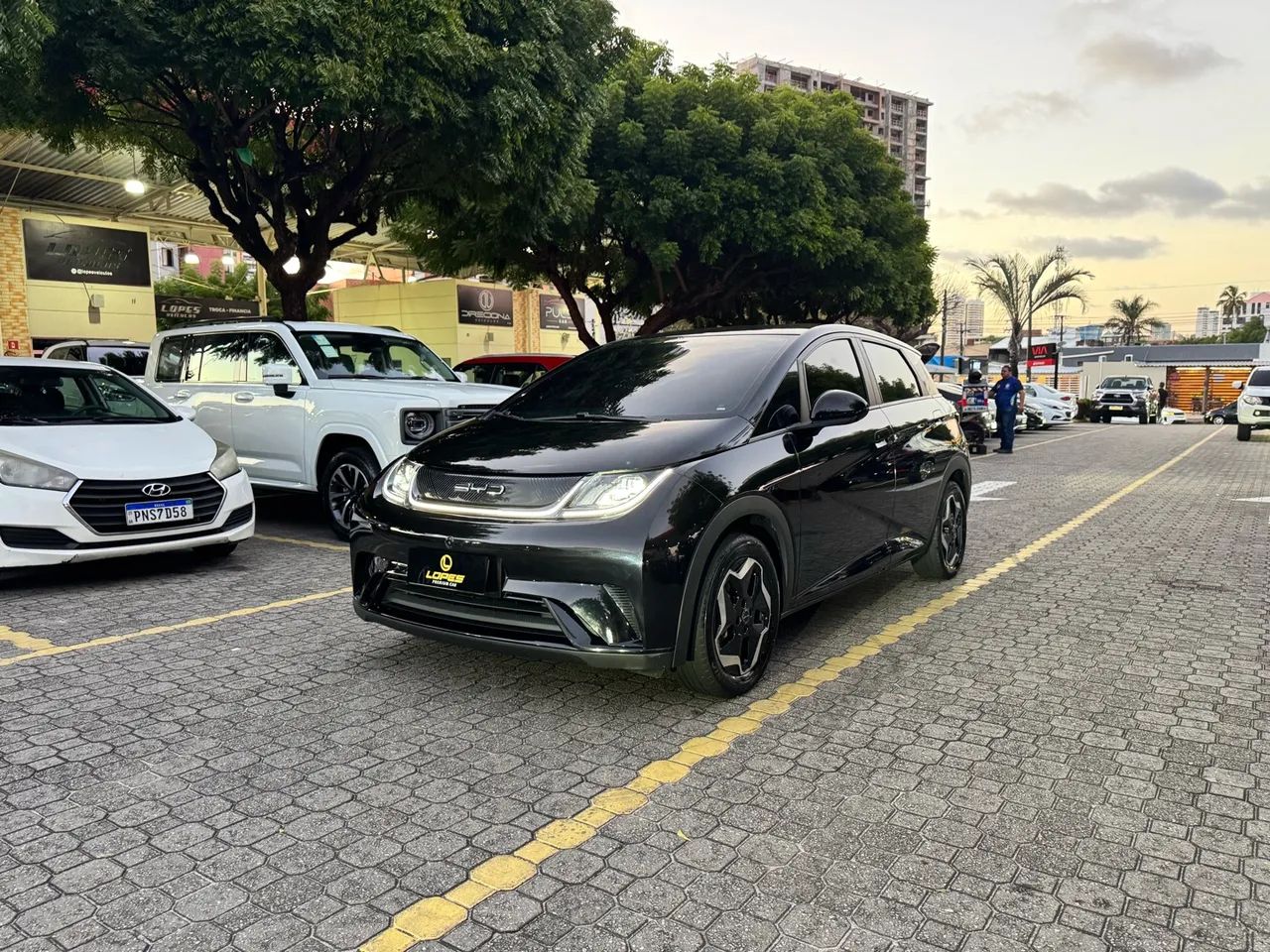 BYD Dolphin EV (Elétrico) 2024 - Foto 2