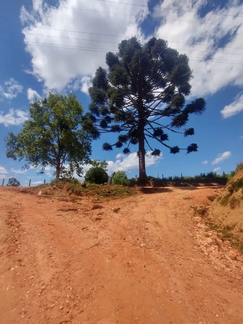 Foto - Maringá - Zona 07