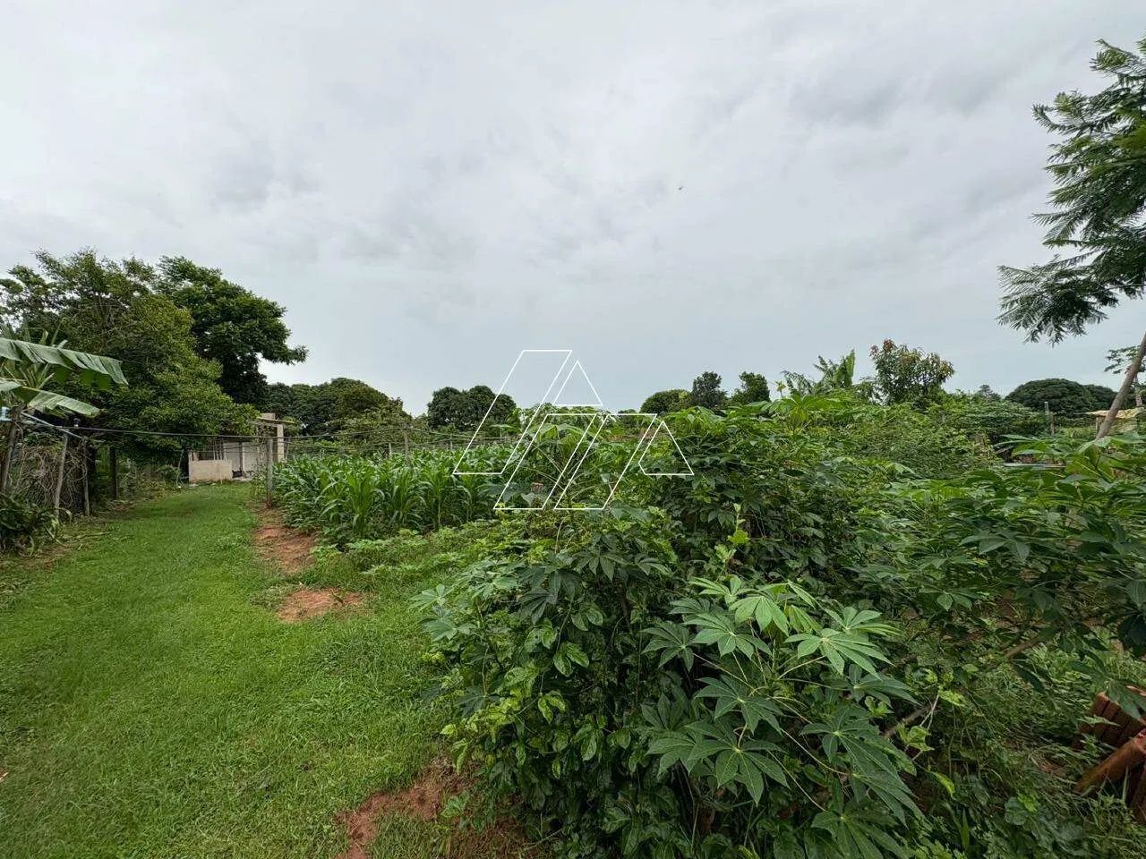 Chácara a venda em Nóbrega - Foto 4