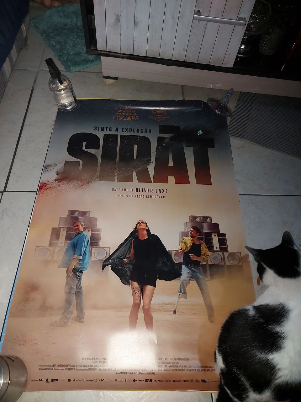Poster de cinema Sirat - Foto 2