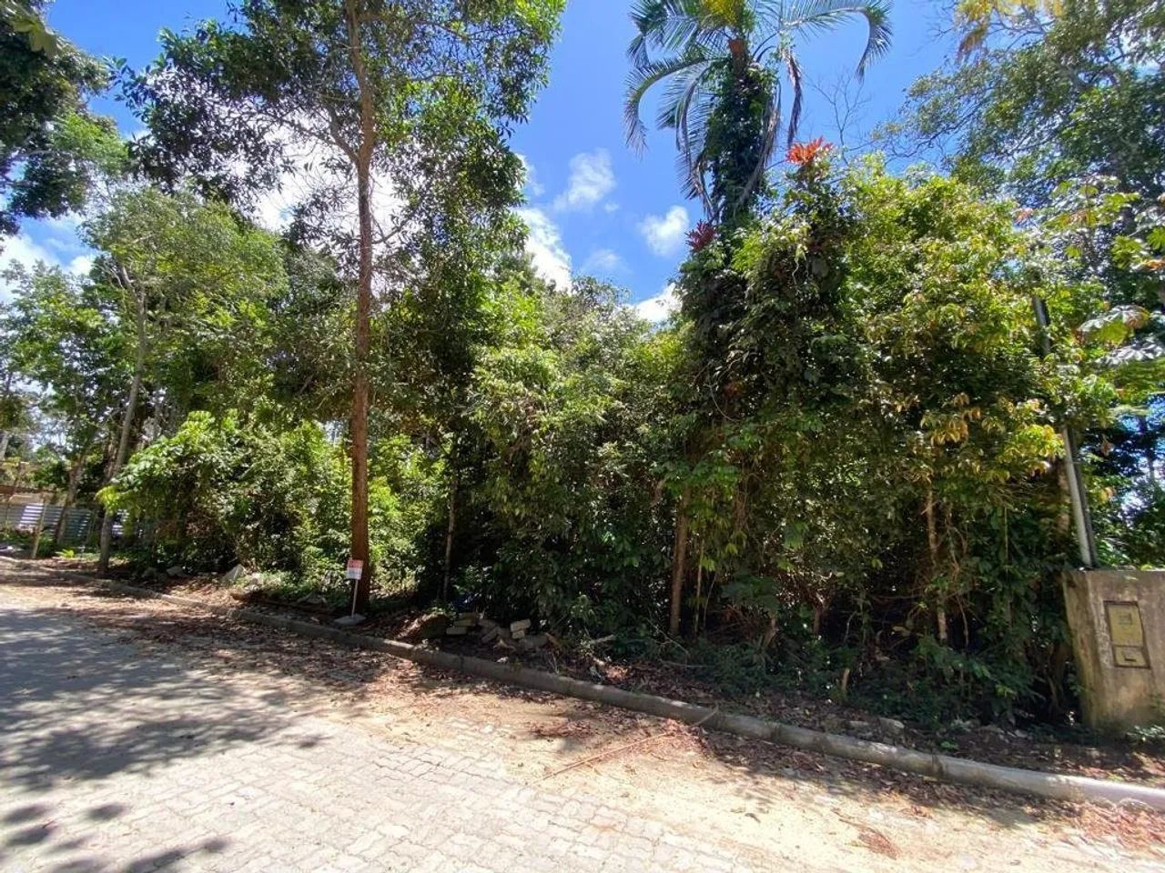 Terreno Coqueiral| Trancoso - Foto 3