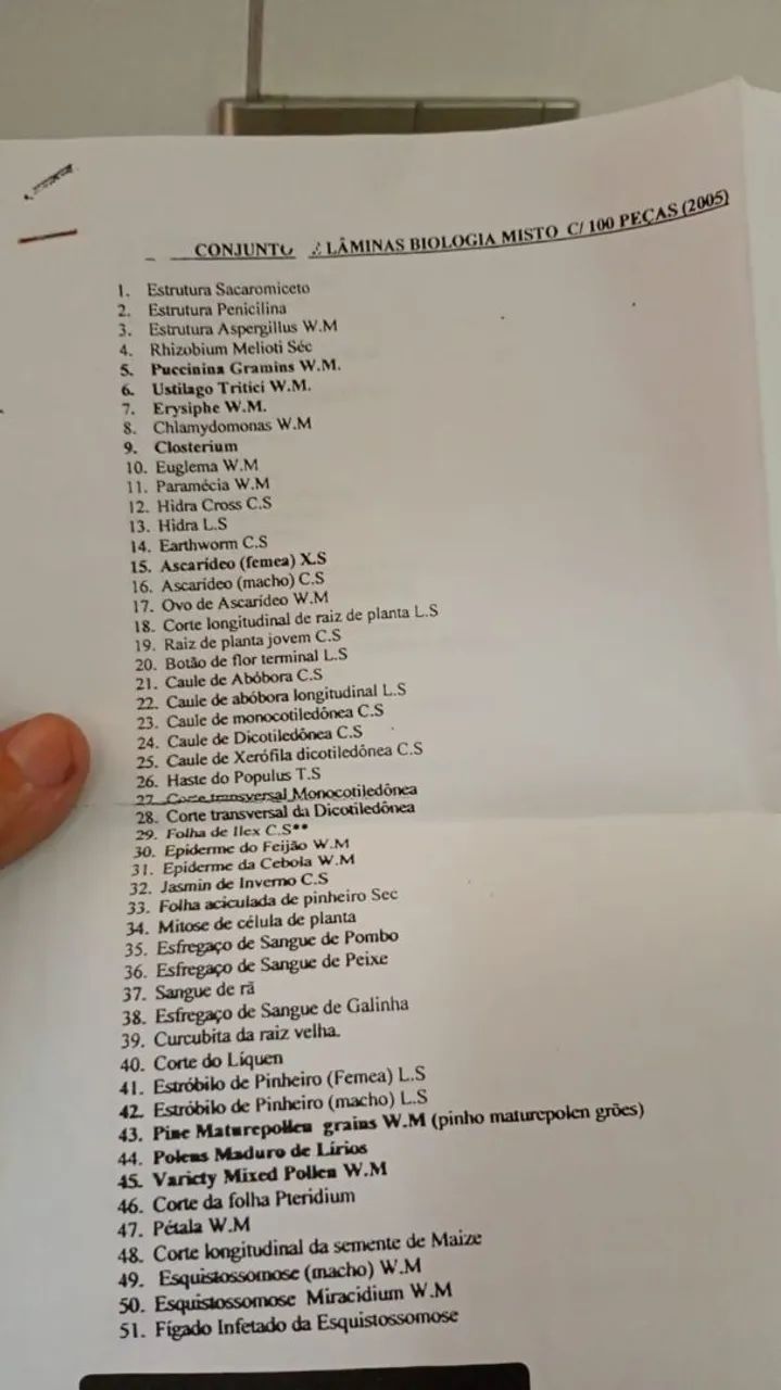 Lâmina para microscópio<br>Com diversos tecidos<br>20 caixa <br>Cada caixa com 100 lâmina - Foto 2