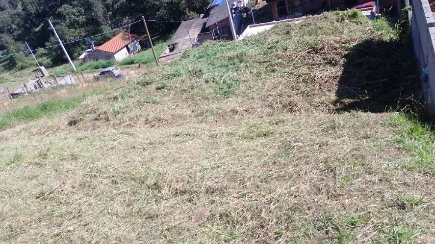 Terreno com plator - Foto 4