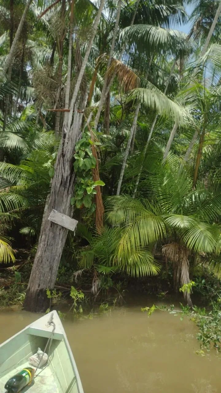 Terreno com mais de 360.000 m² - Foto 5