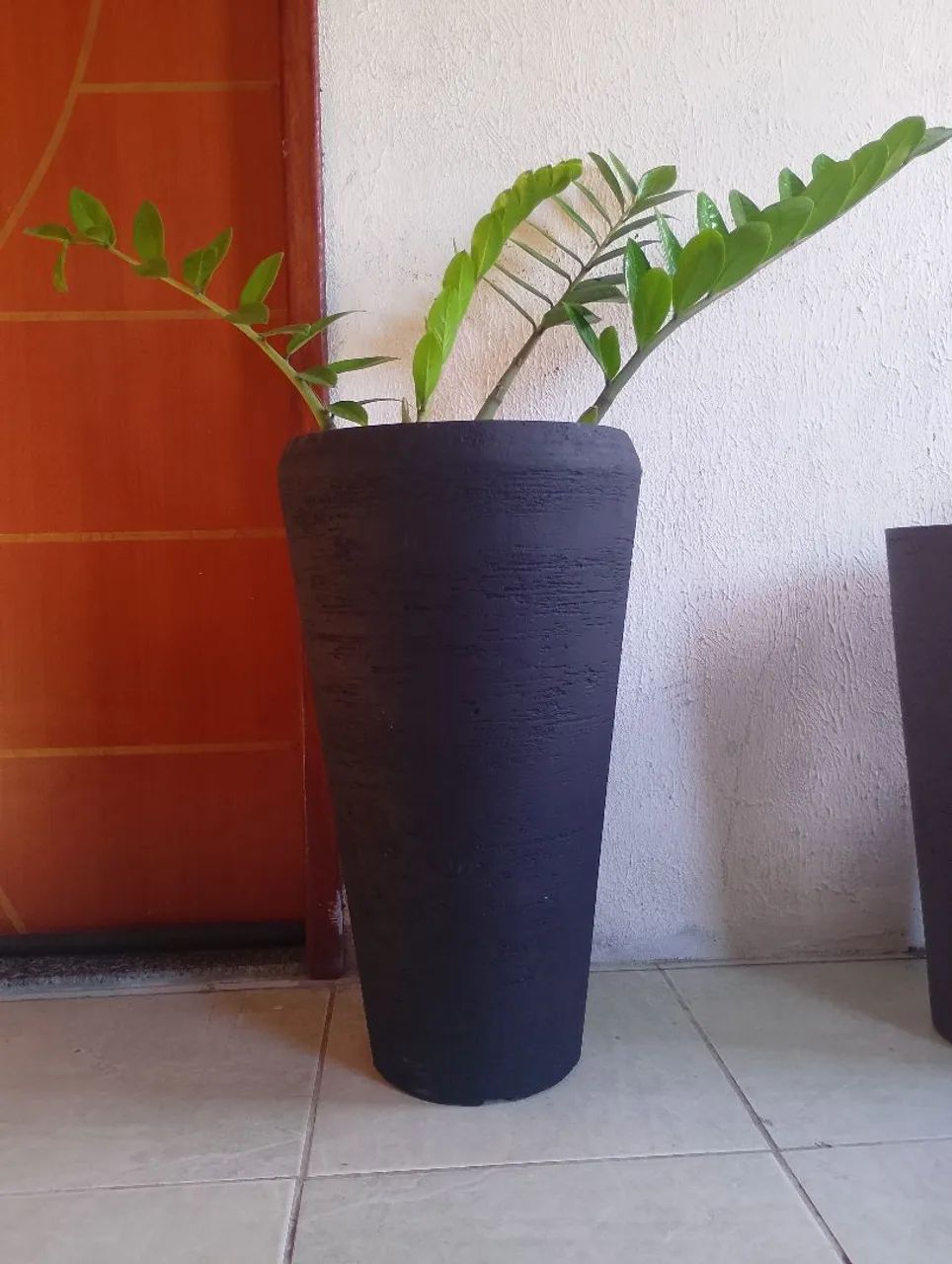 Terra preta adubada - Foto 5